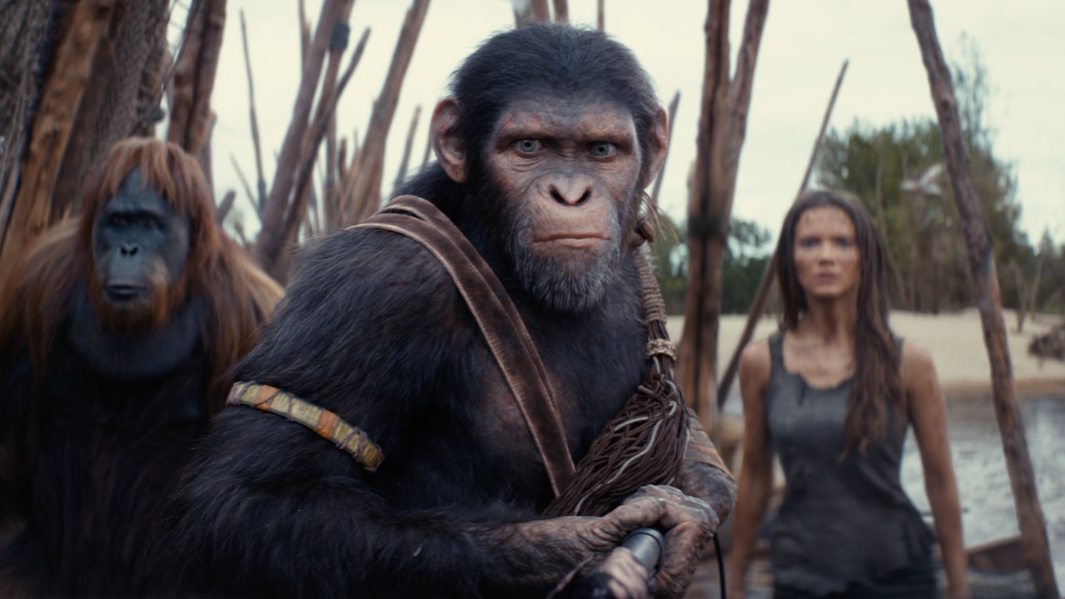 Kingdom Of The Planet Of The Apes Review